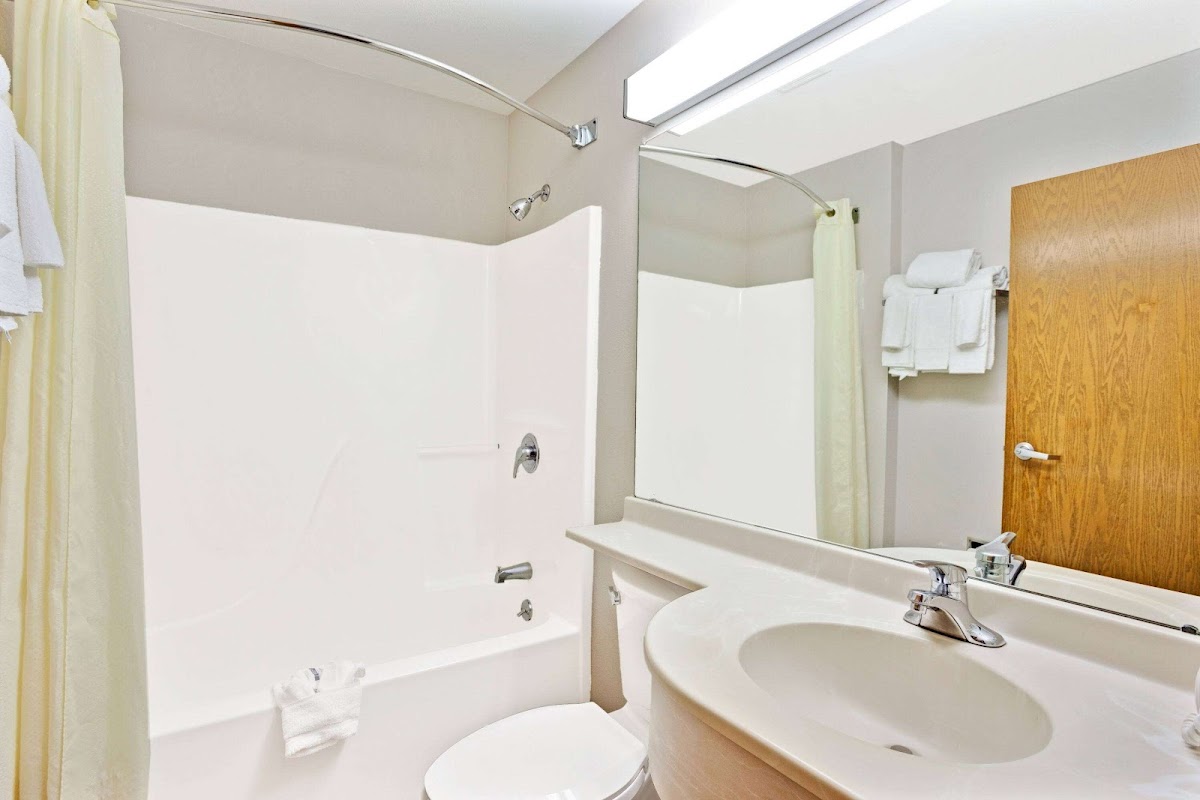 Microtel Inn & Suites by Wyndham Roseville/Detroit Area photo 3