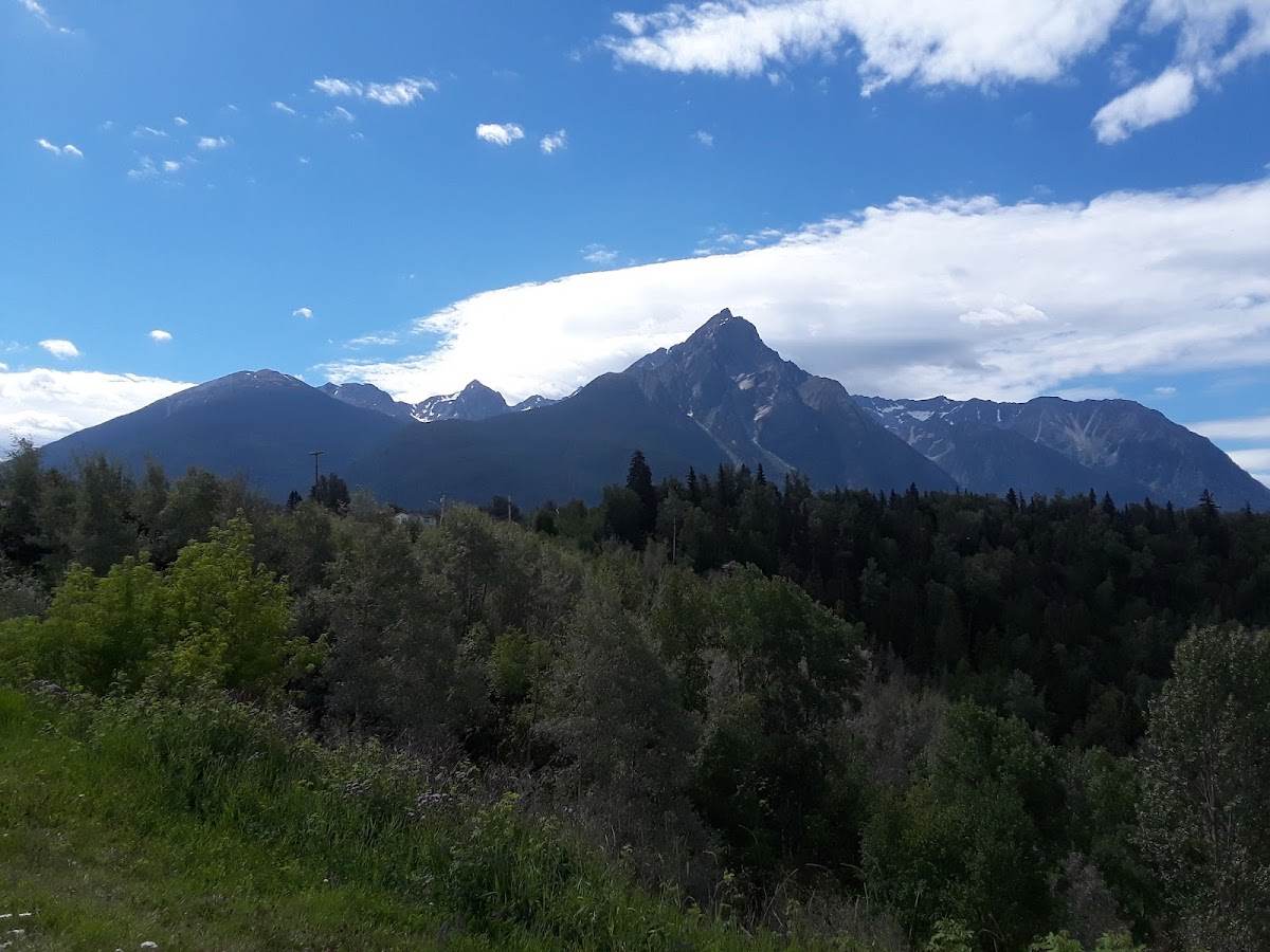 Bulkley Valley Motel photo 3