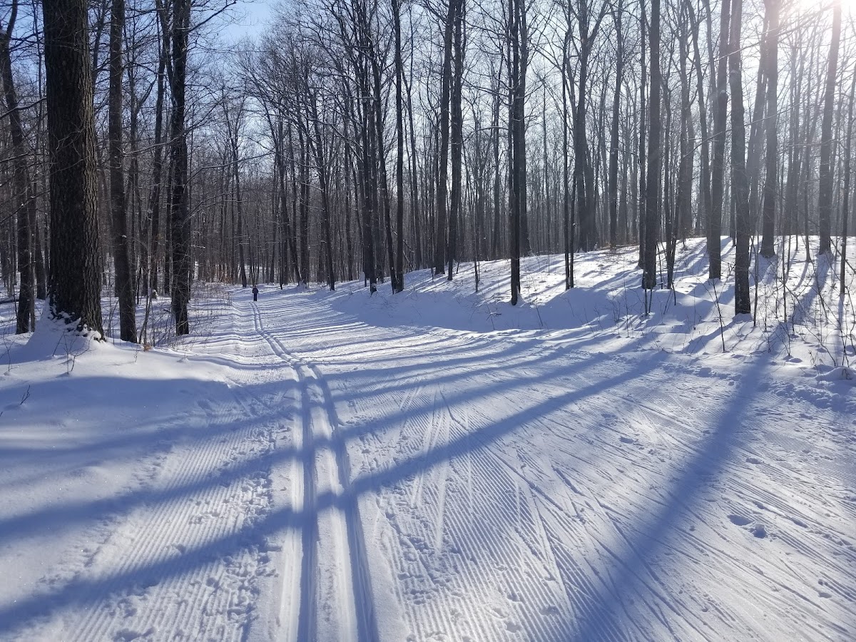 Timberland Hills Trails
