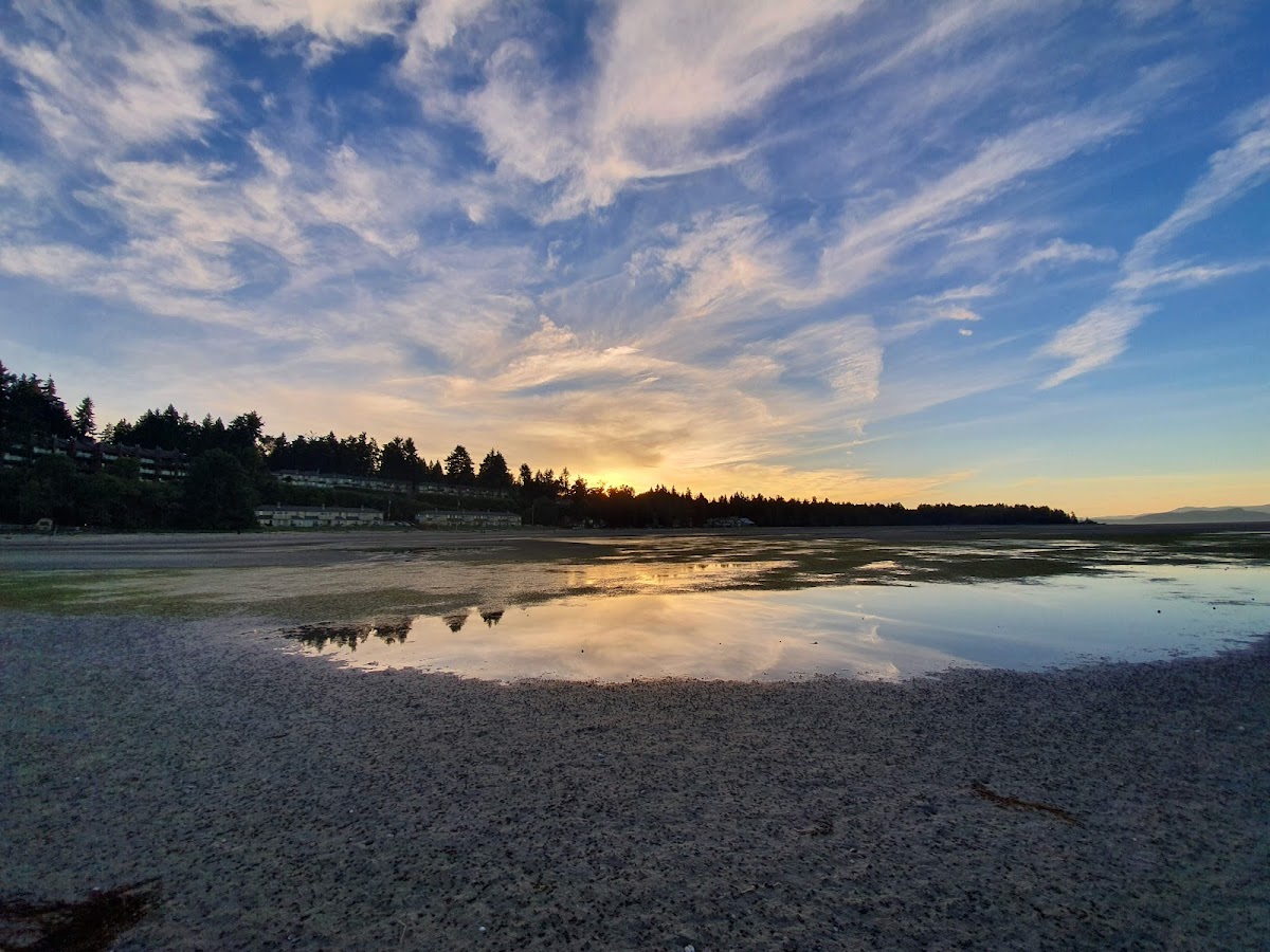 Ocean Sands Resort photo 3