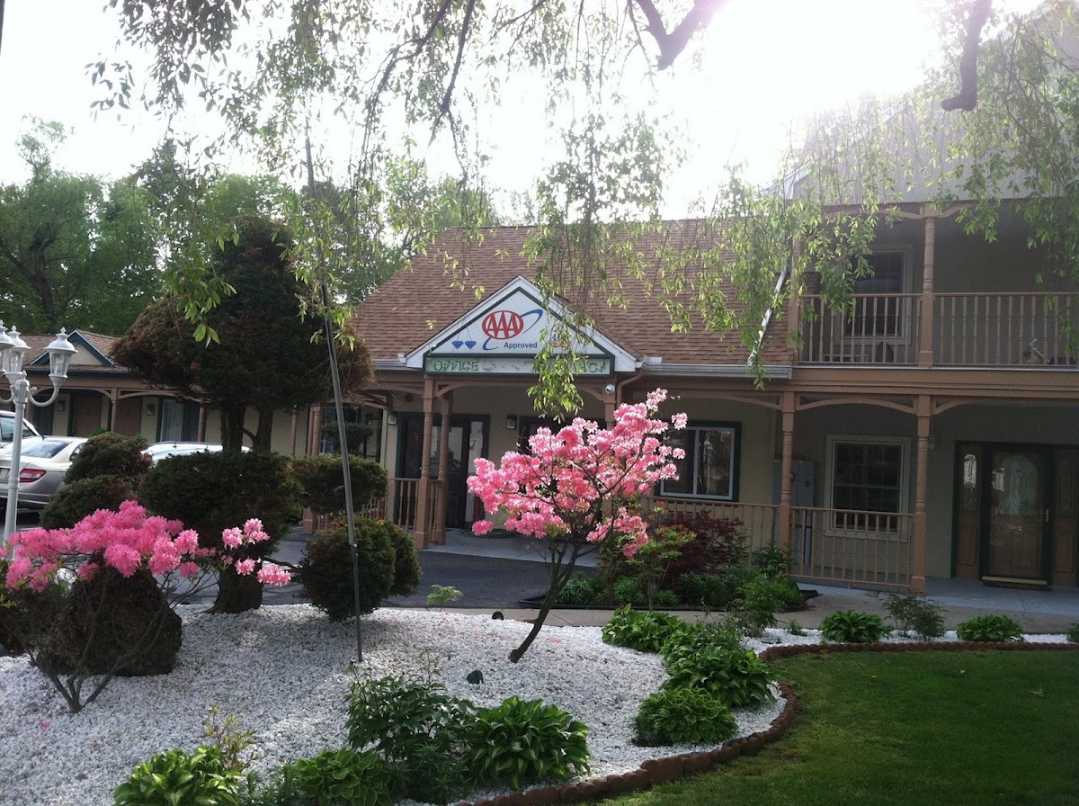 Cheshire Welcome Inn photo 3