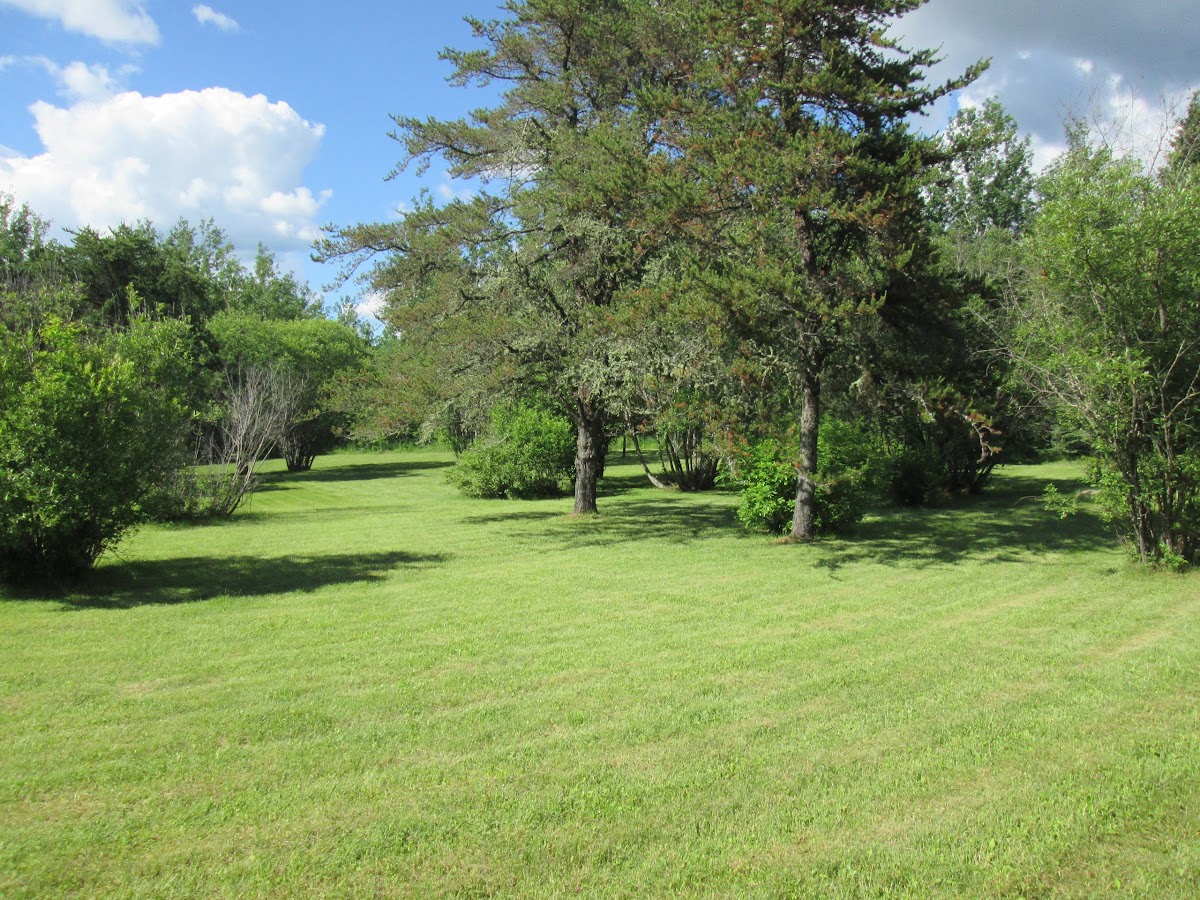 Pine Grove Camping & Motel photo 2