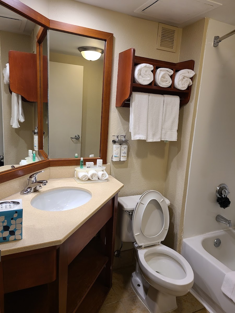 Holiday Inn Express Rochester - University Area photo 3