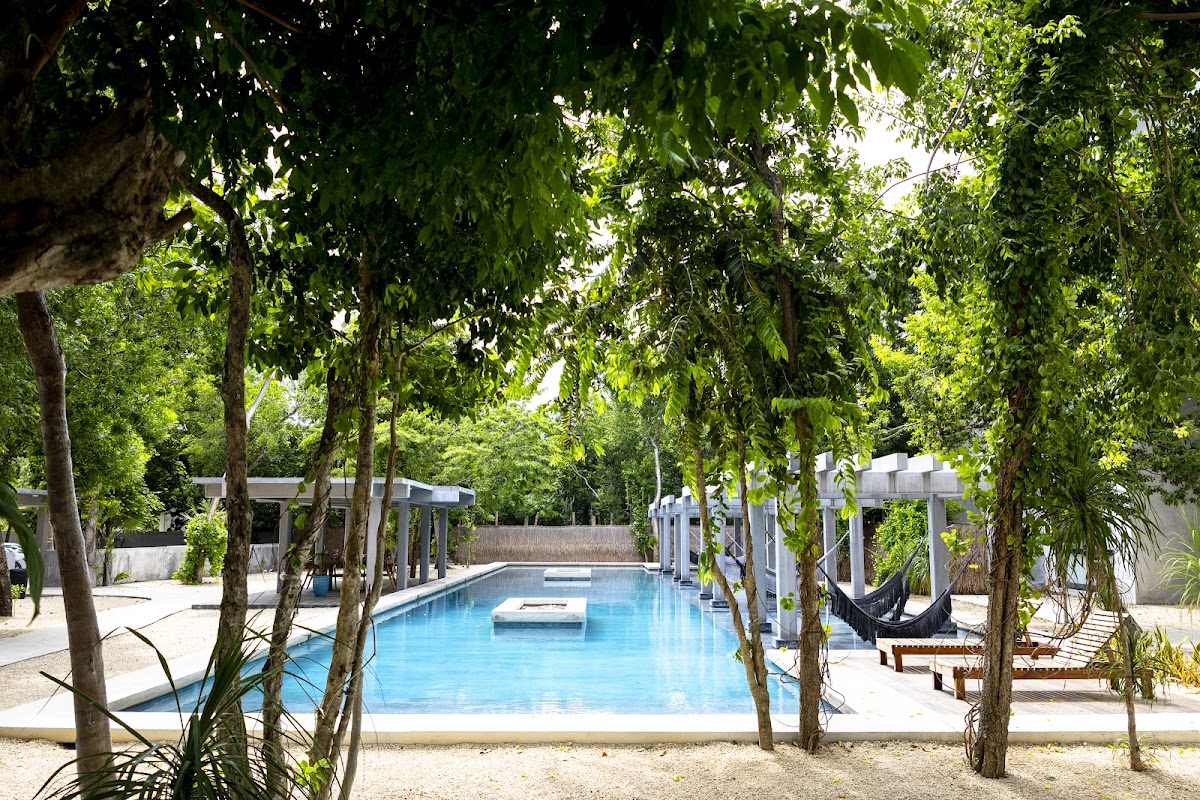 Hotel Casa Tortuga Tulum photo 3