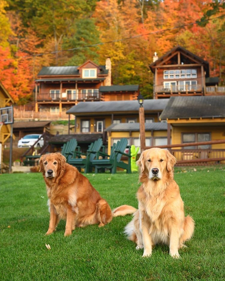 Trout House Village Resort