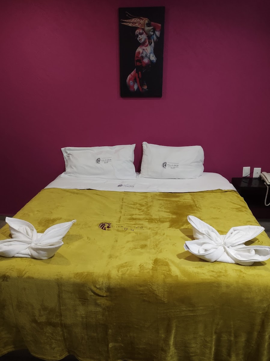 Hotel Ramsés photo 3