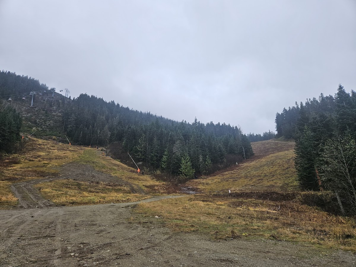Whistler Creekside photo 3