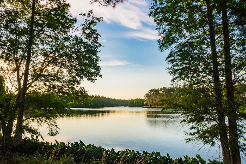 Bienville Outdoors photo 3