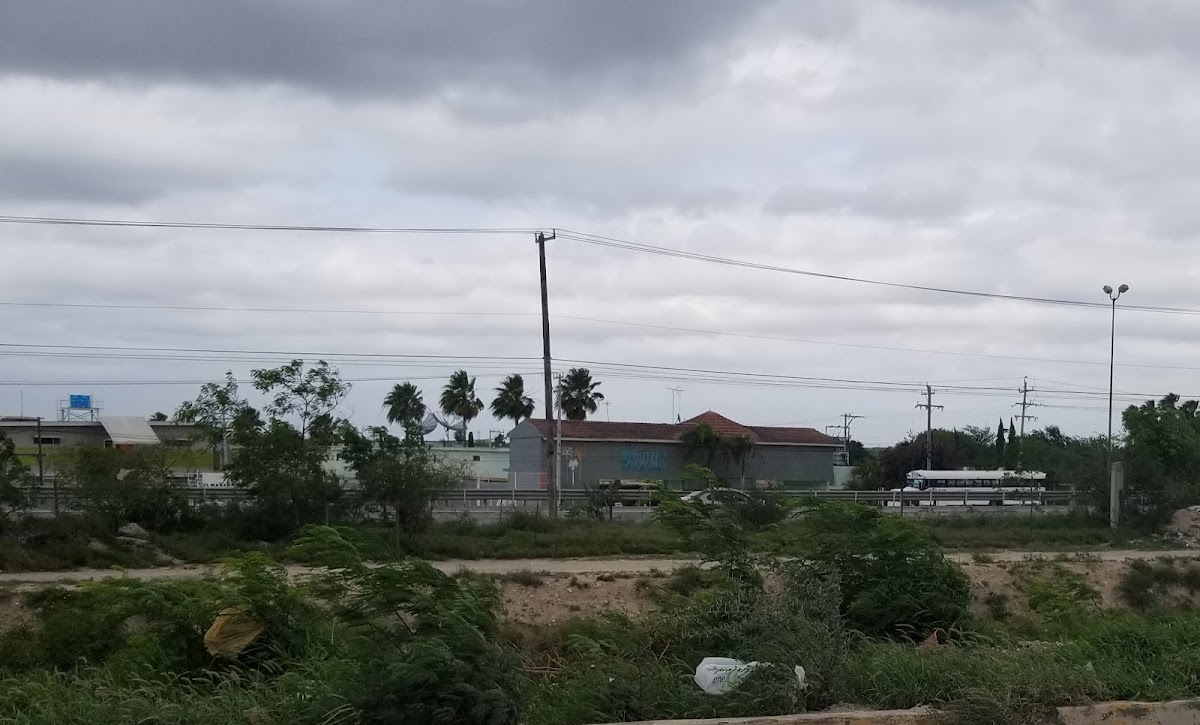 MOTEL TROPICAL photo 3