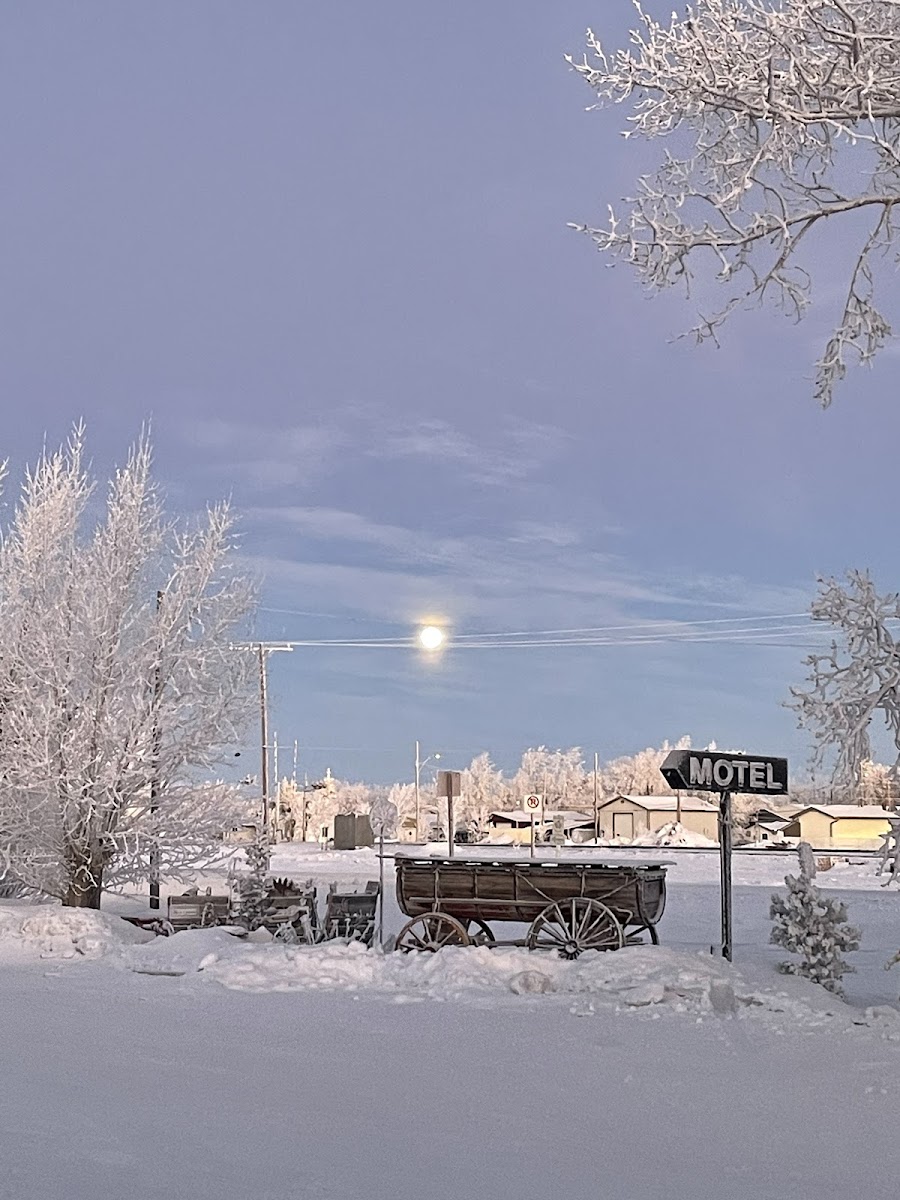 Lone Eagle Motel 83 & Campground photo 3