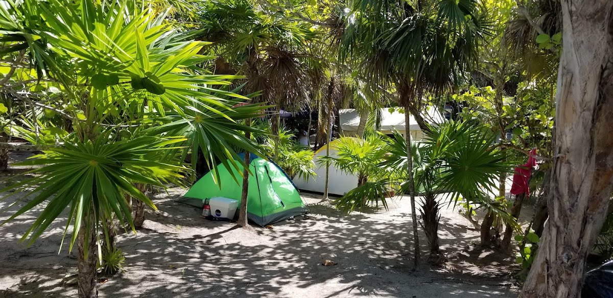 UMA Tulum Oceanfront photo 3