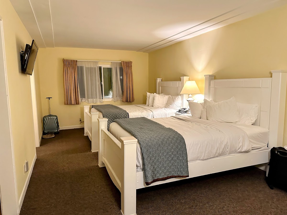 Hollywood Celebrity Hotel