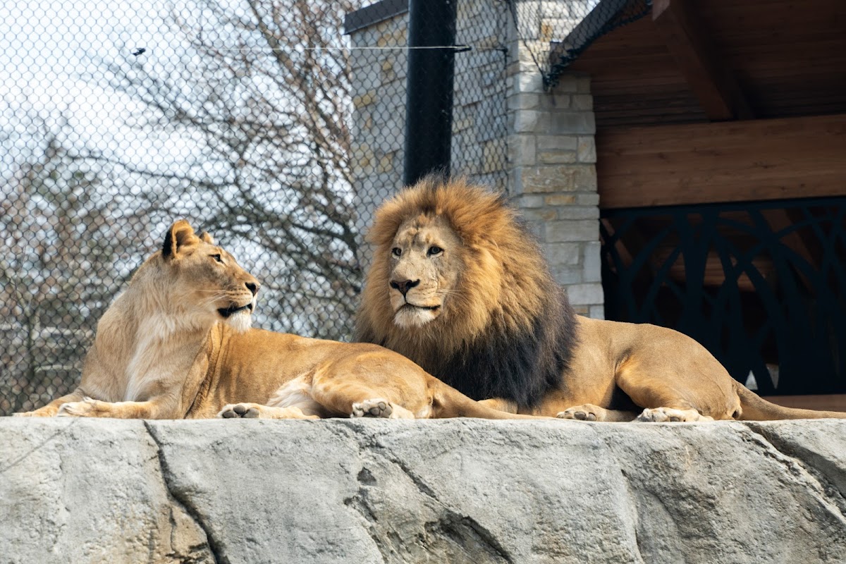 Potawatomi Zoo