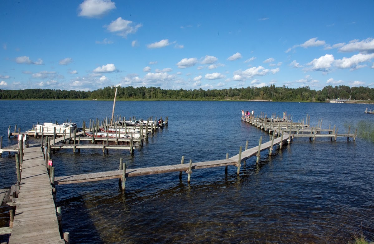 The Pines Resort & Campground