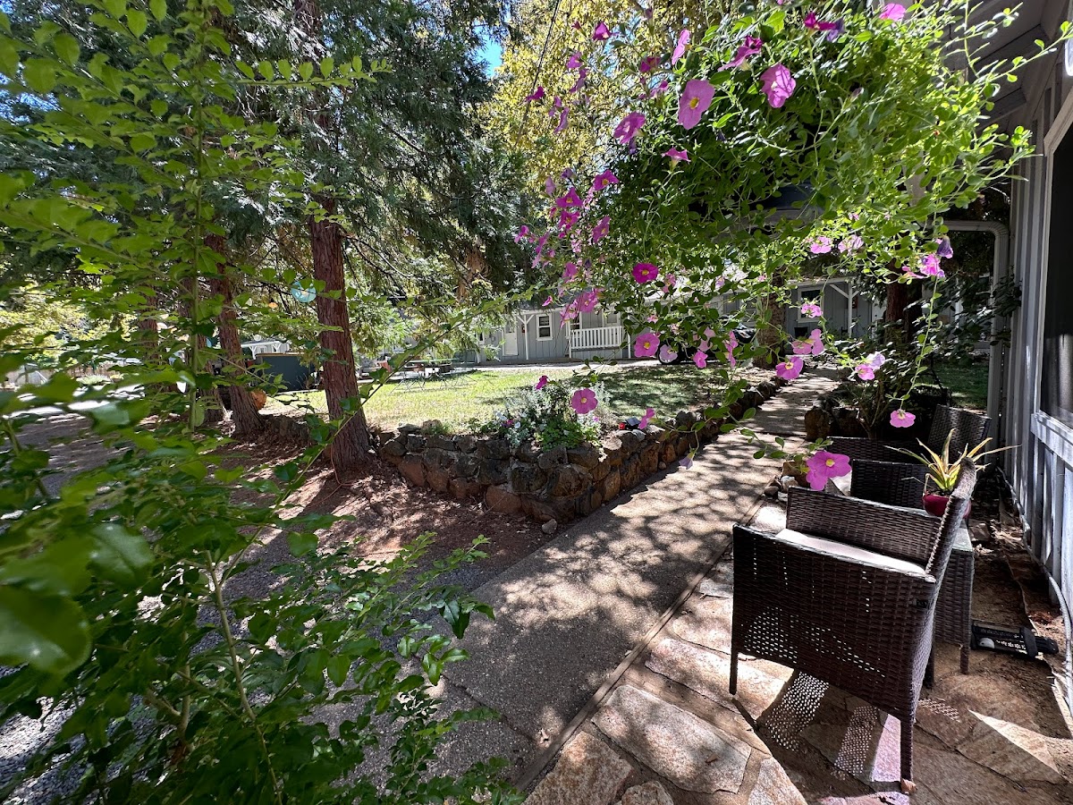 The Pines Inn and Cottages photo 3