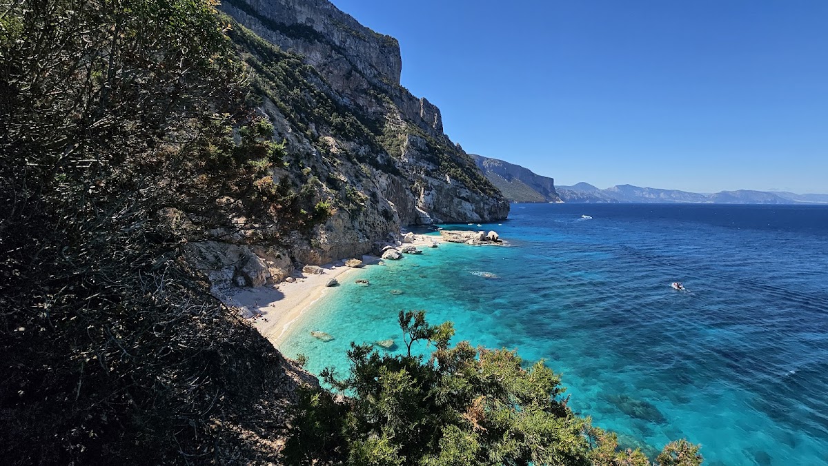 Selvaggio Blu
