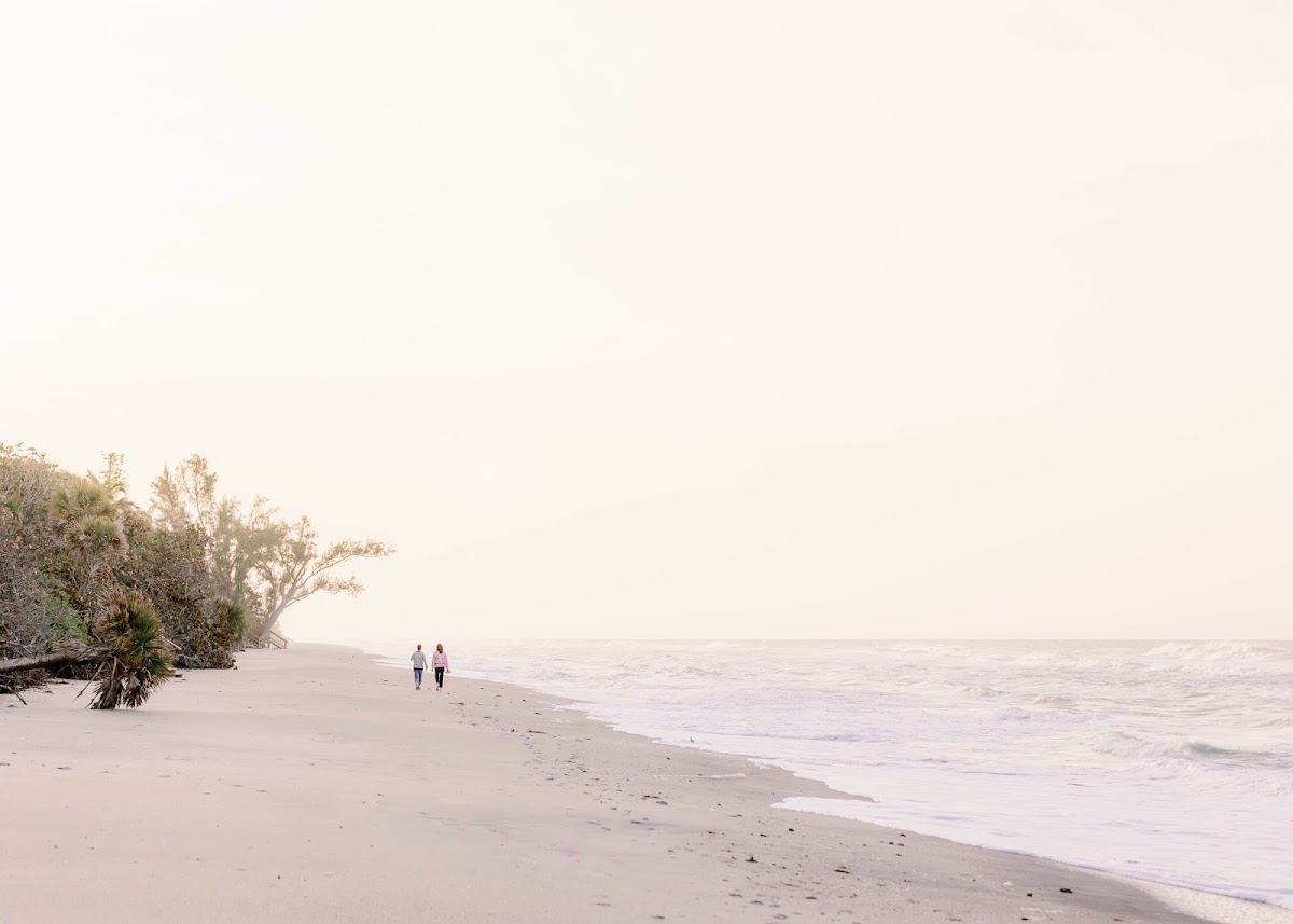 Manasota Beach Club photo 3