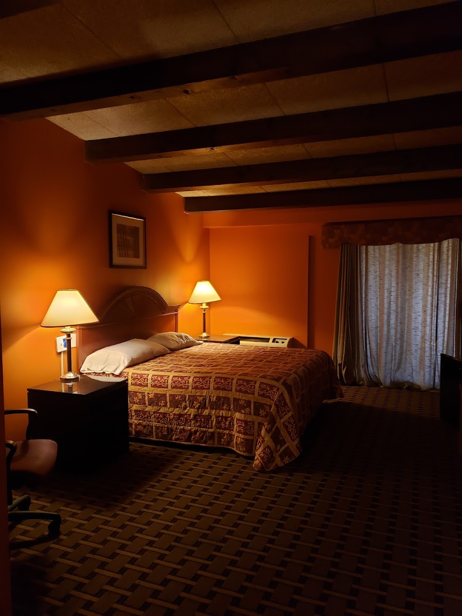 Honeyspot Motor Inn photo 2