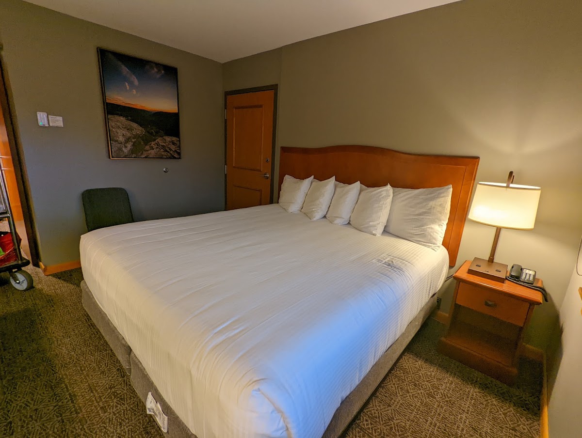 Blackwater Lodge photo 2