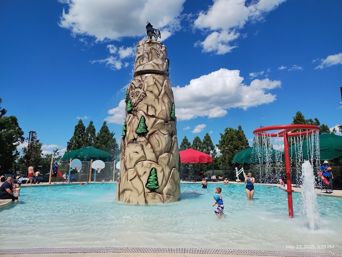 Great Wolf Lodge | Concord photo 2