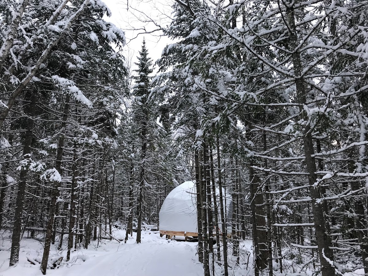 Glamp Camp photo 3