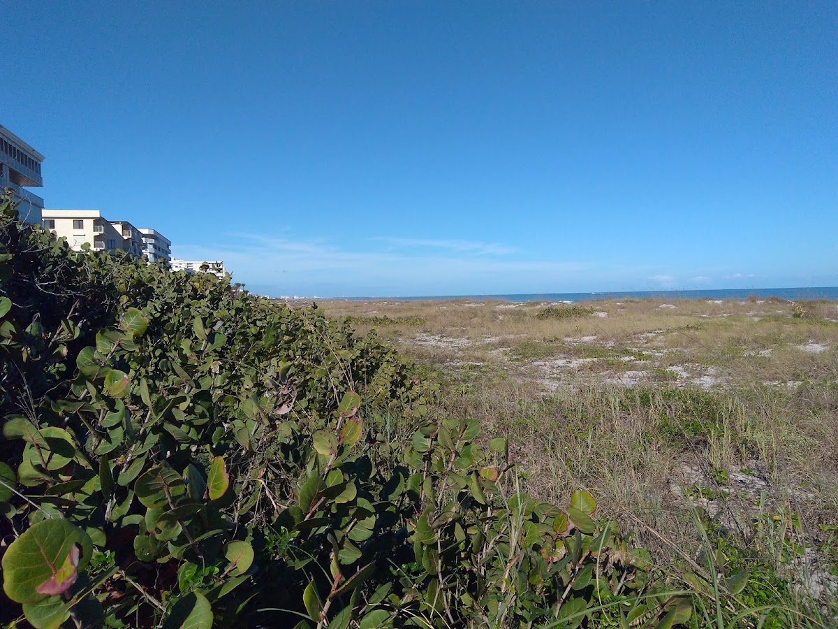Sea Aire Oceanfront Inn photo 2