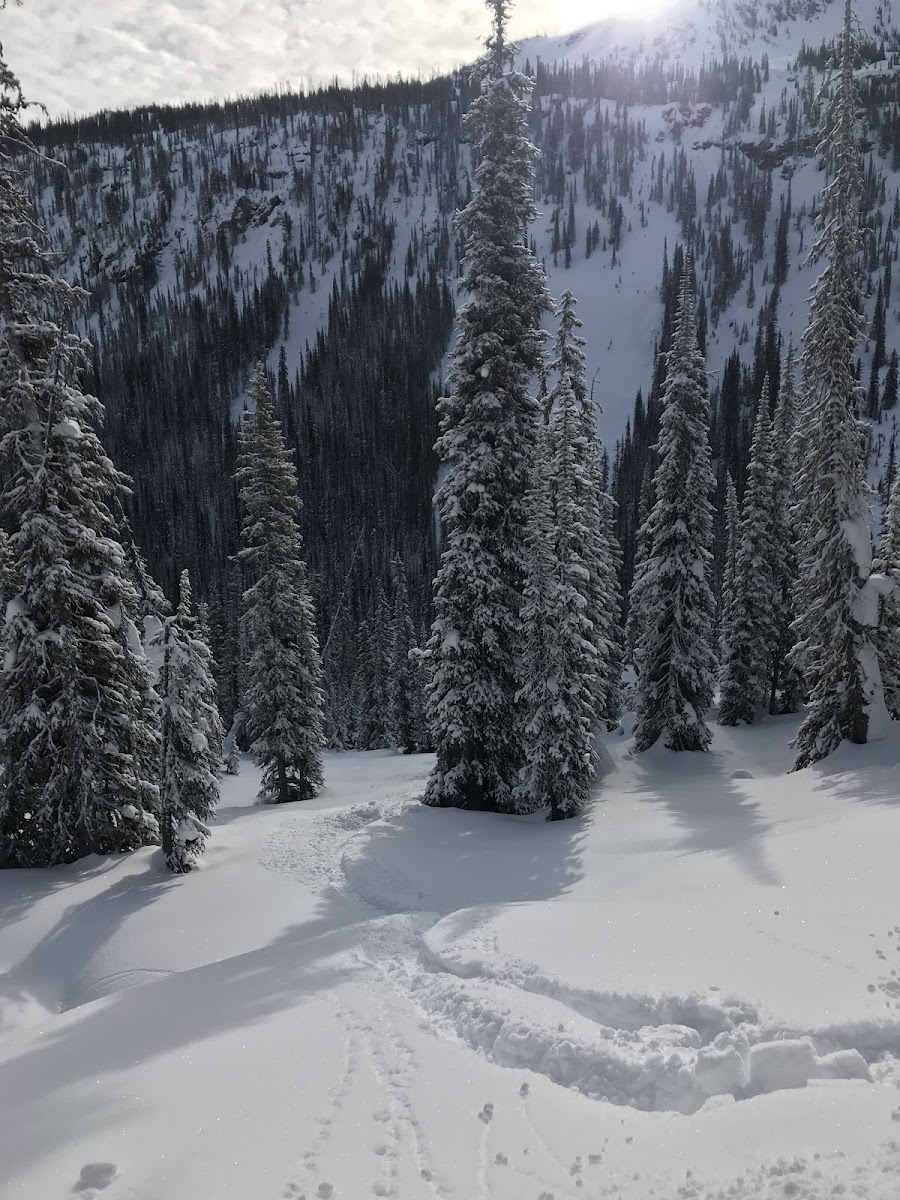 Great Canadian Heli-Skiing photo 2