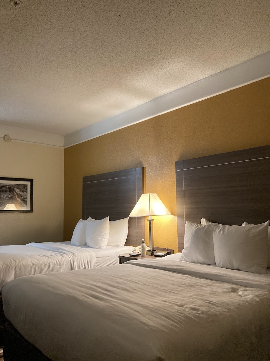 Comfort Inn near Frost Bank Center photo 2