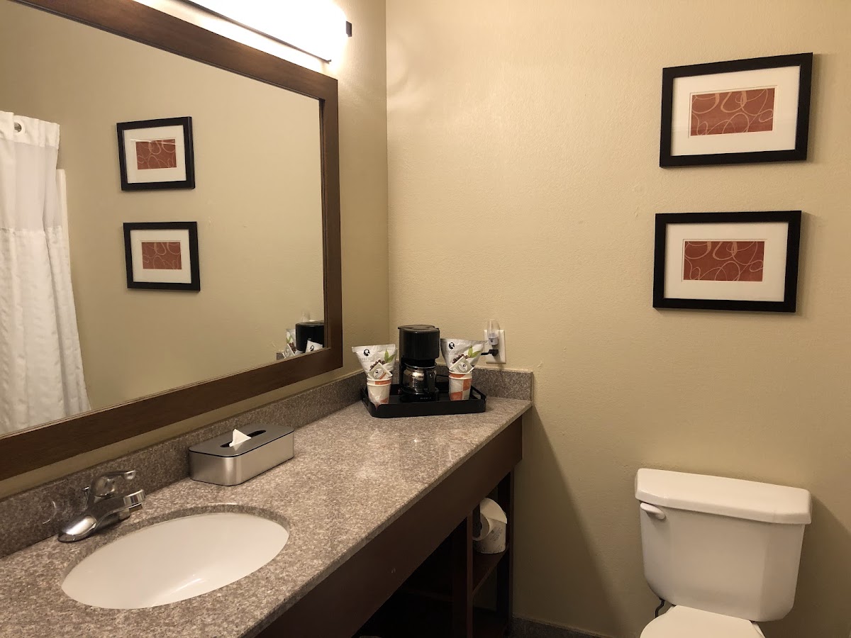 Comfort Suites Lombard - Addison photo 3