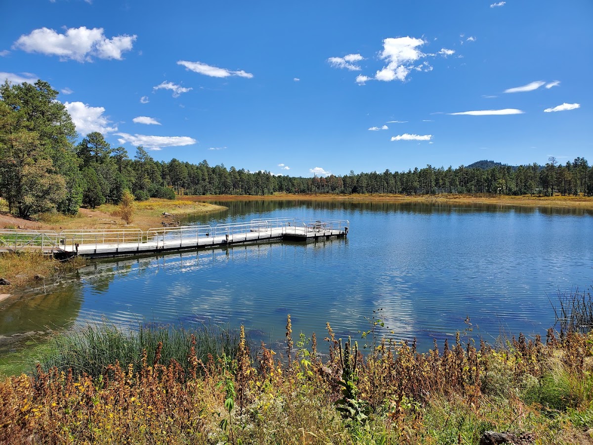 Woodland Lake Park