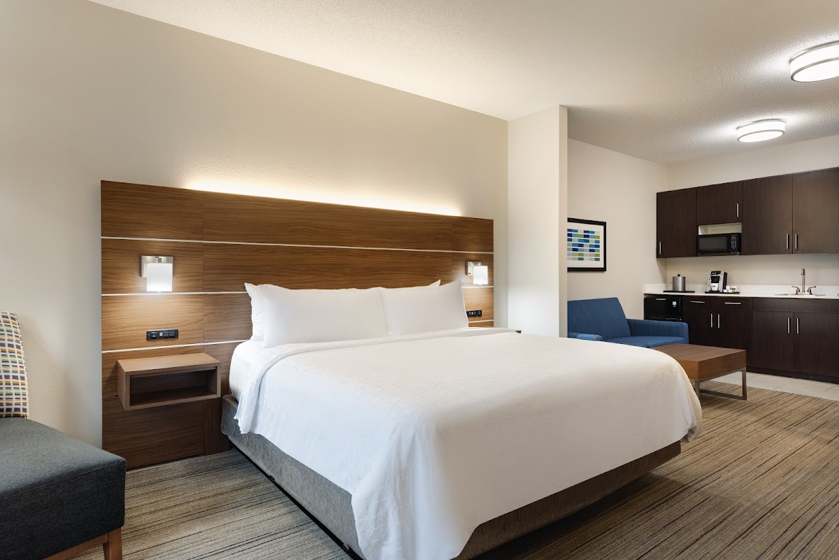 Holiday Inn Express & Suites Opelika Auburn, an IHG Hotel photo 2