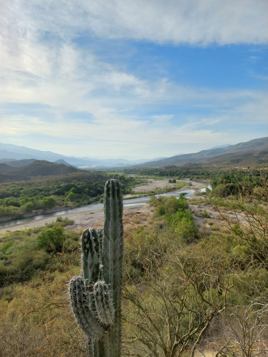 Cuicatlán photo 3