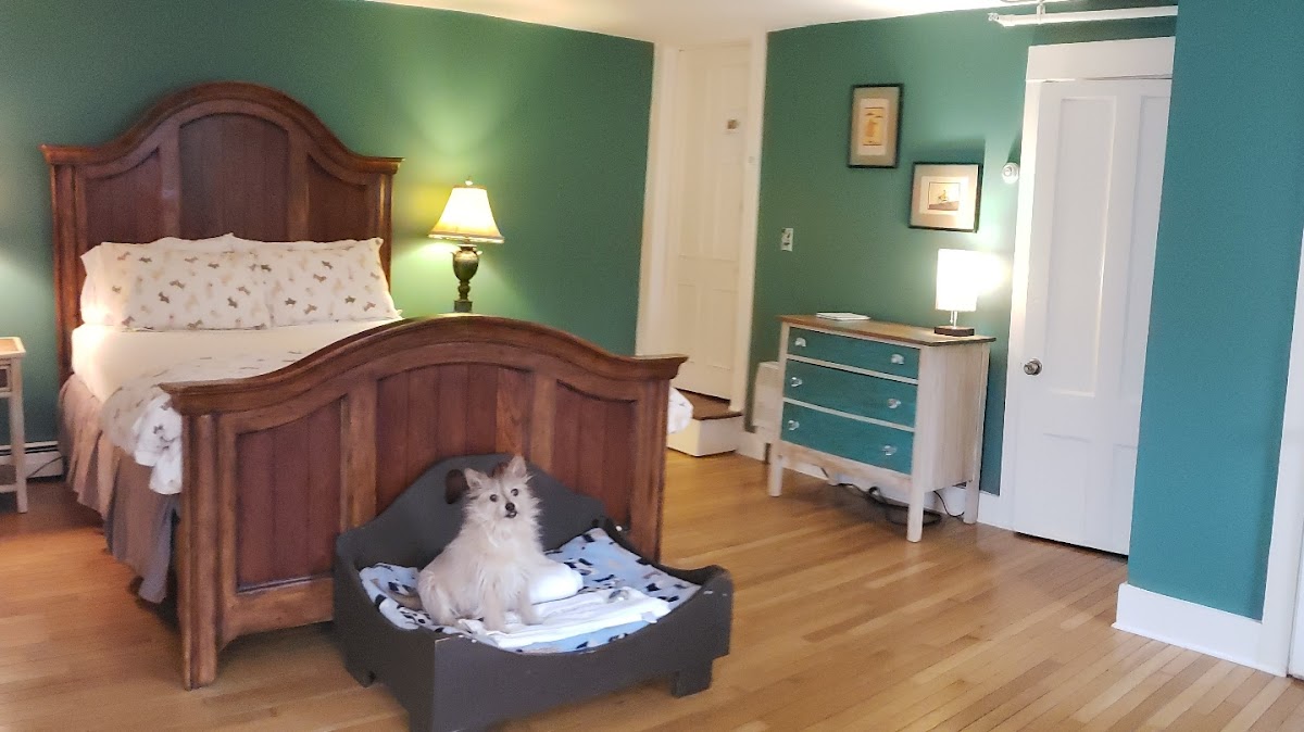 The Paw House Inn & Dog Friendly Cottages photo 2