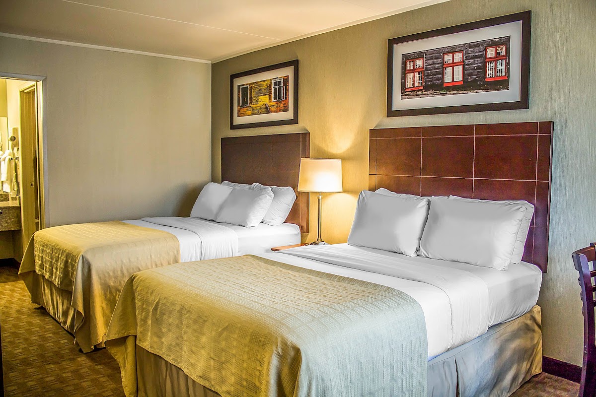 Quality Inn Cambridge photo 2