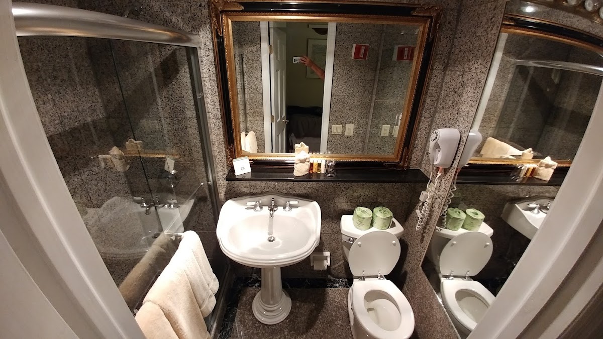 Da Vinci Hotel photo 2