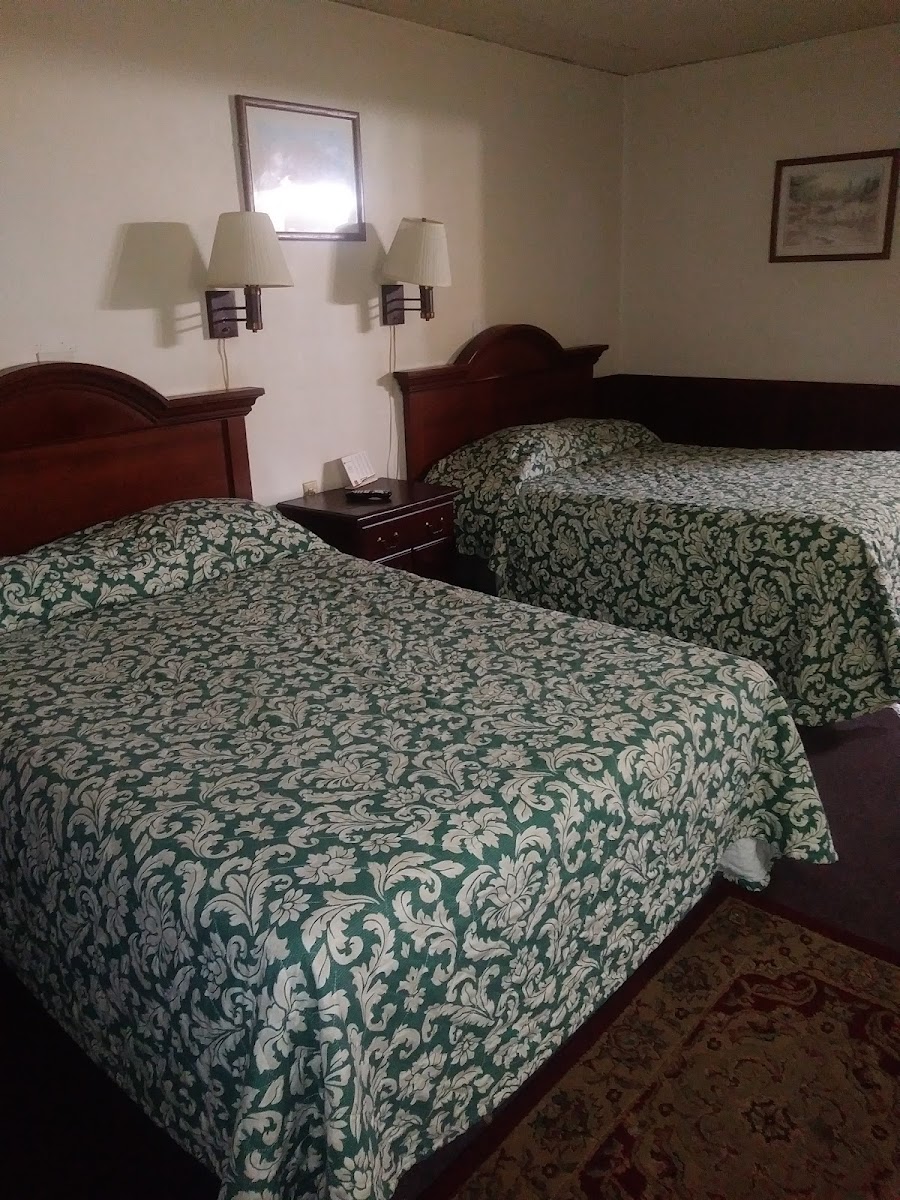 Star Motor Inn photo 2