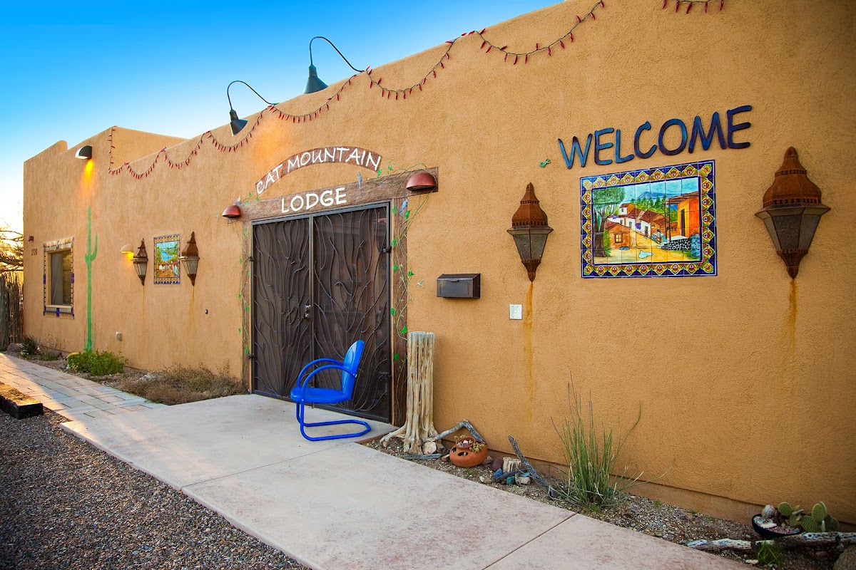 Cat Mountain Lodge