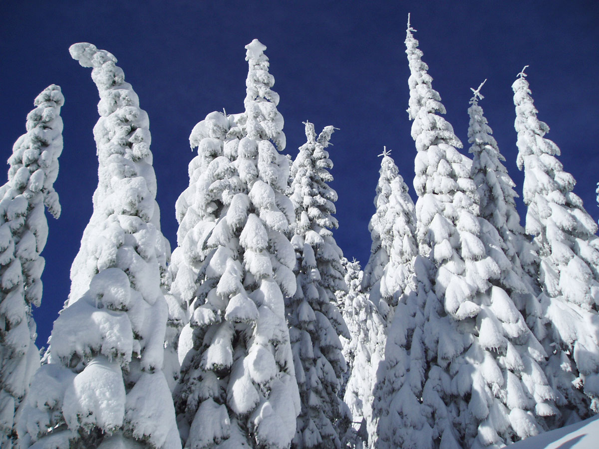 Mt. Ashland Ski Area
