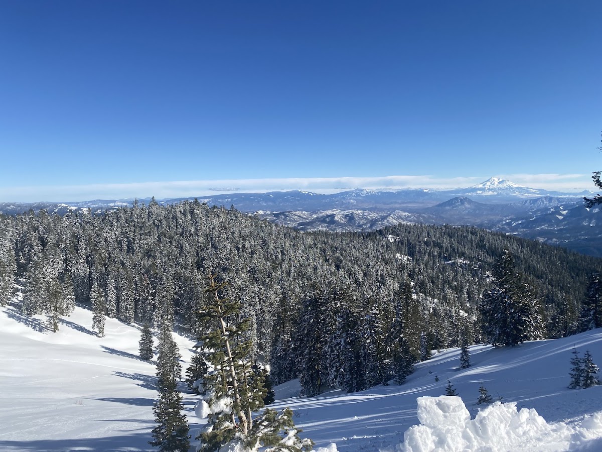 Mt. Ashland Ski Area photo 3
