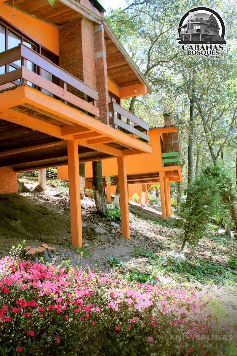 Cabañas Los Bosques del Zembo photo 3