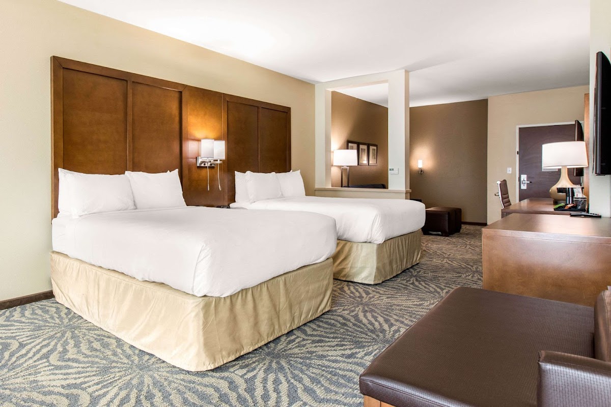 Comfort Suites - South Austin photo 2