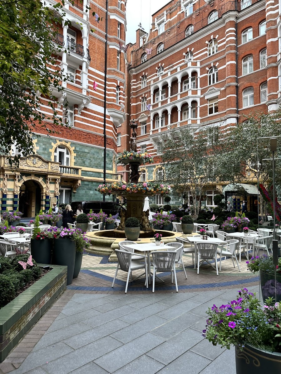 Taj International Hotels Limited photo 2