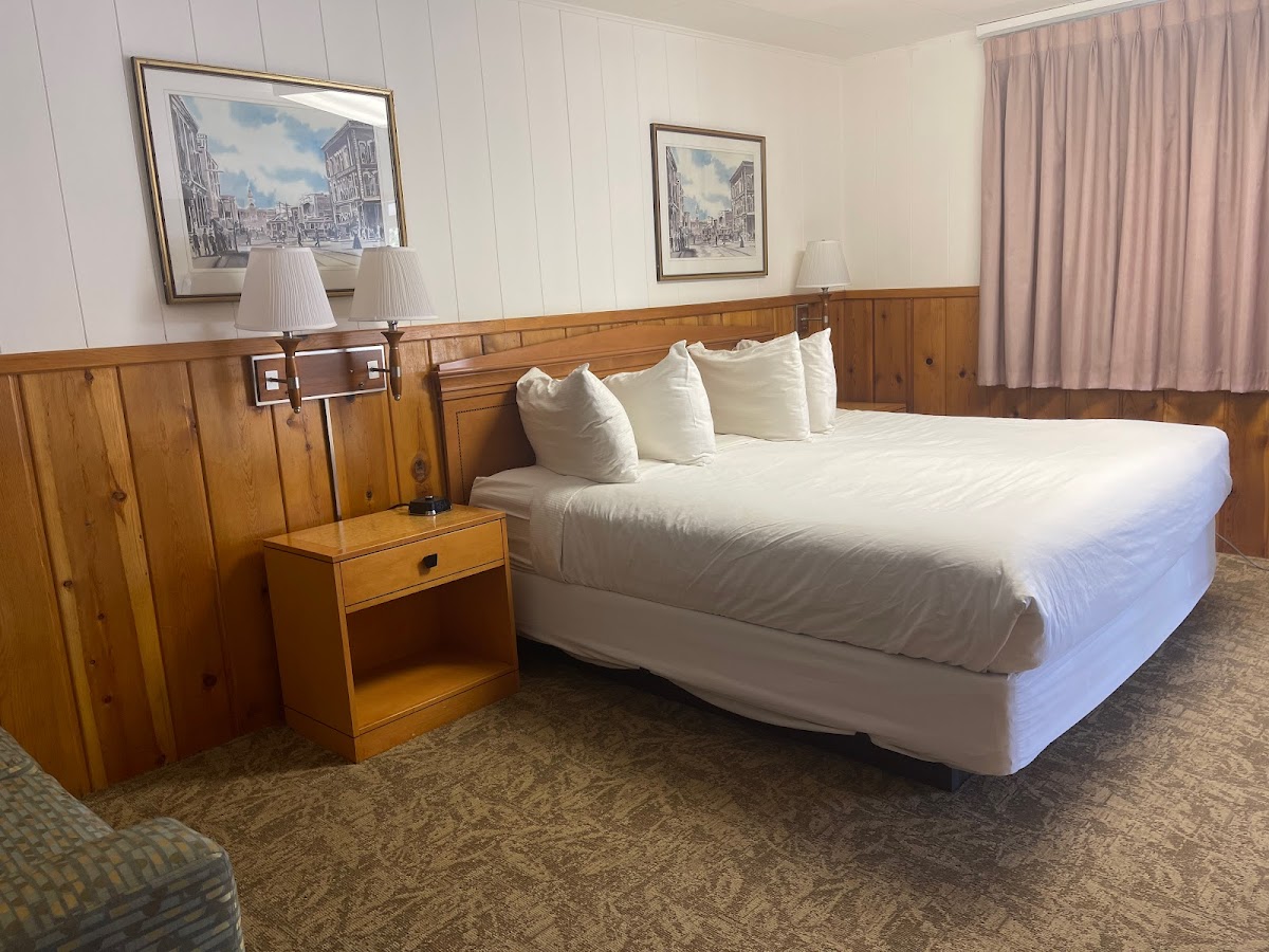 Saddle & Surrey Motel photo 2