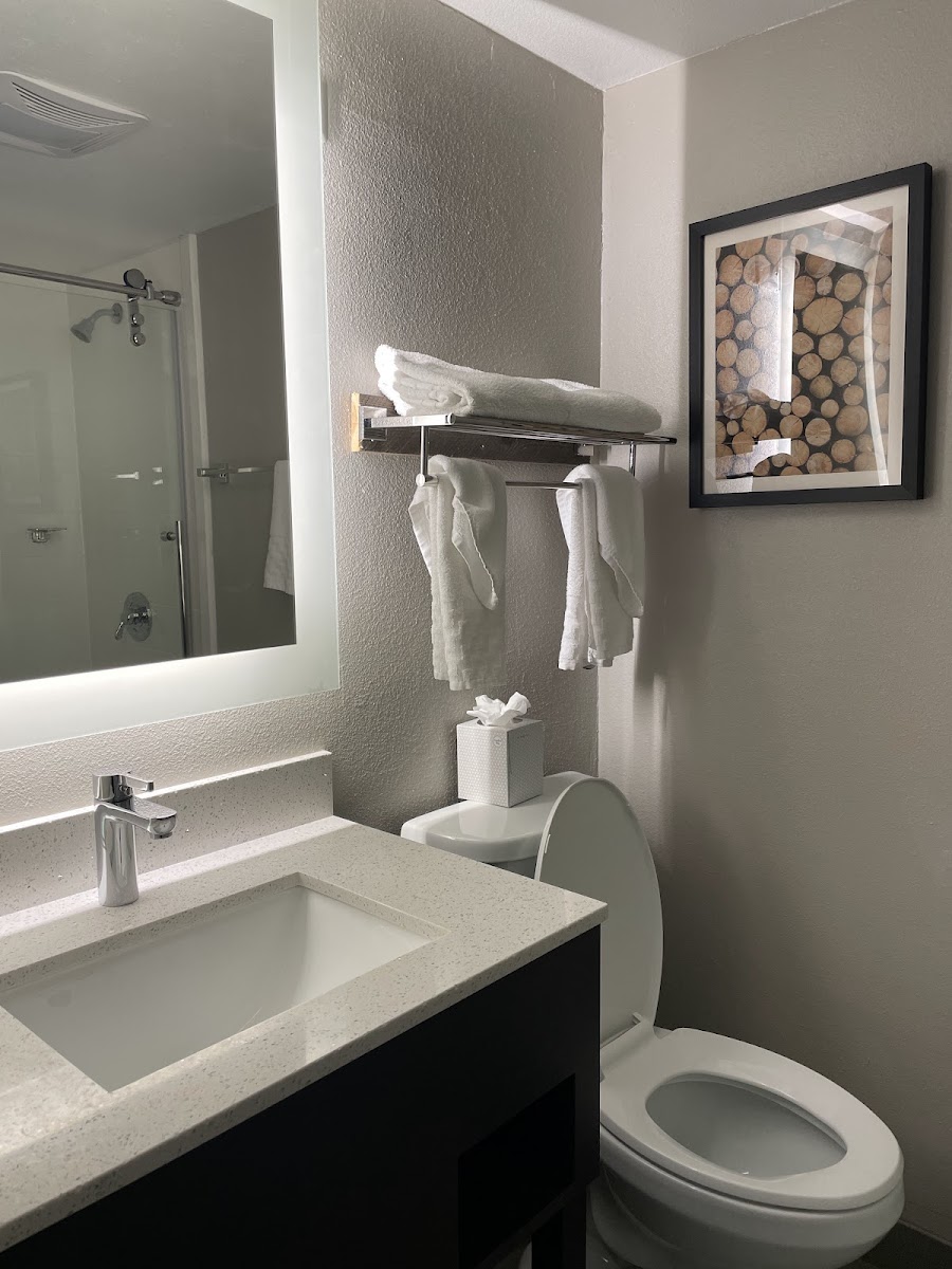 Best Western Atlanta-Marietta Ballpark Hotel photo 3