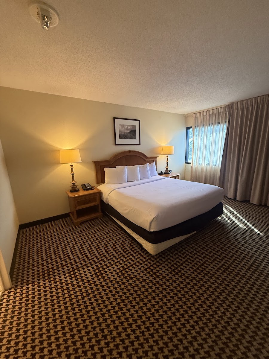 Hilton Chicago/Oak Brook Suites photo 2