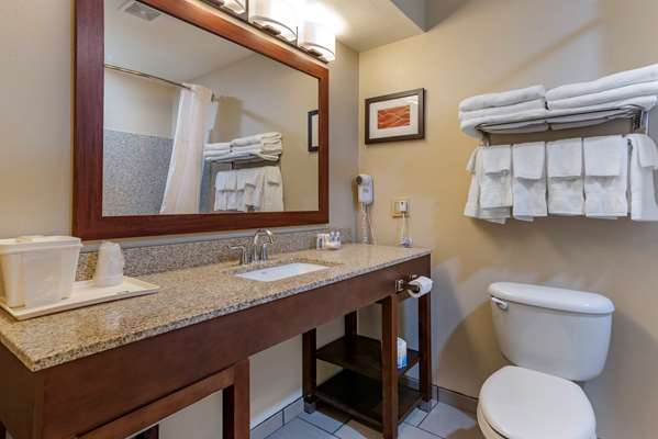Comfort Inn Amite City photo 3