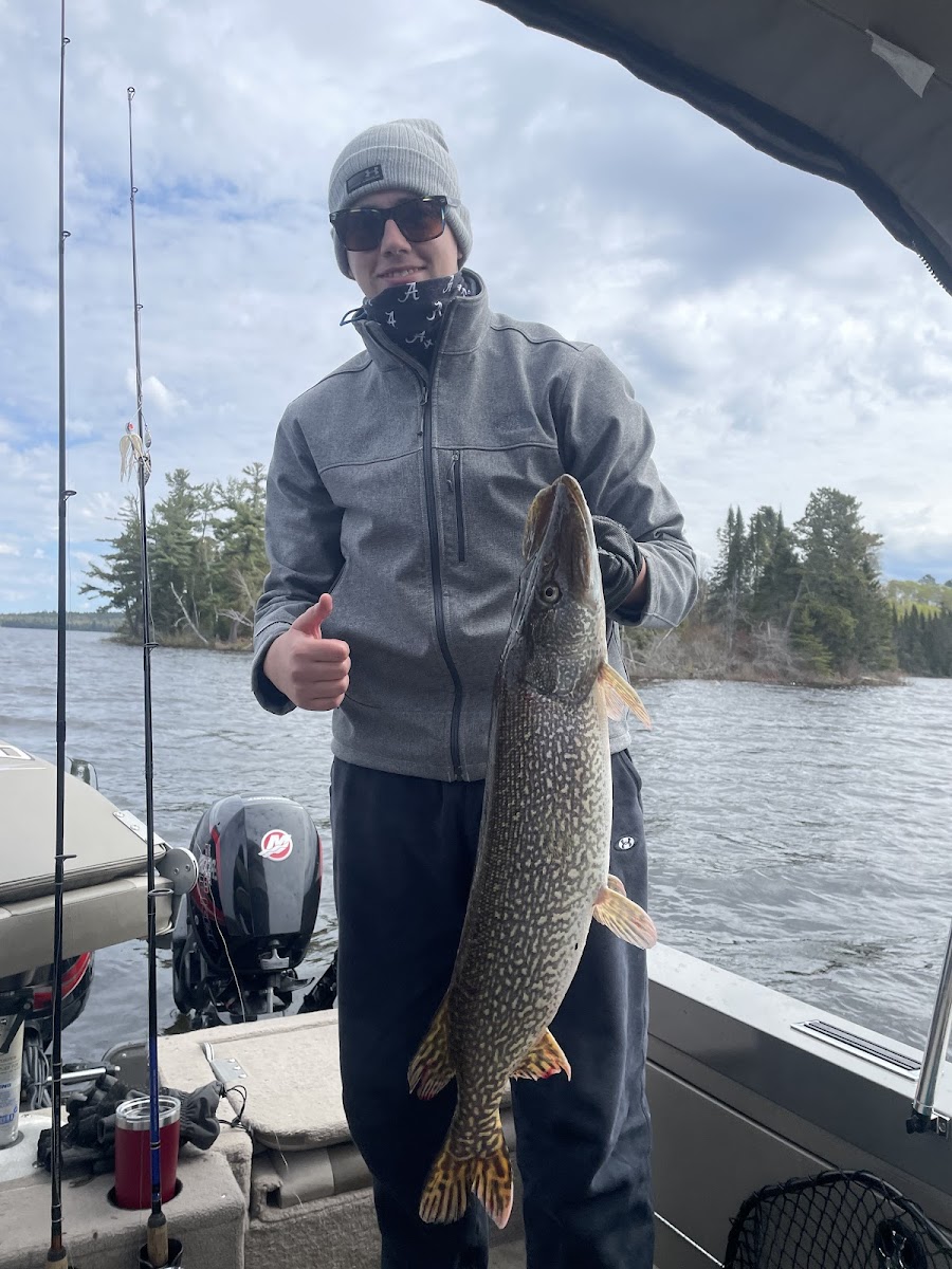 Tamarack Island Wilderness Lodge photo 3