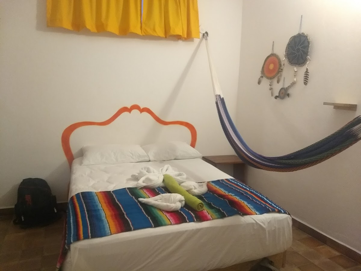 Ruta Maya photo 3