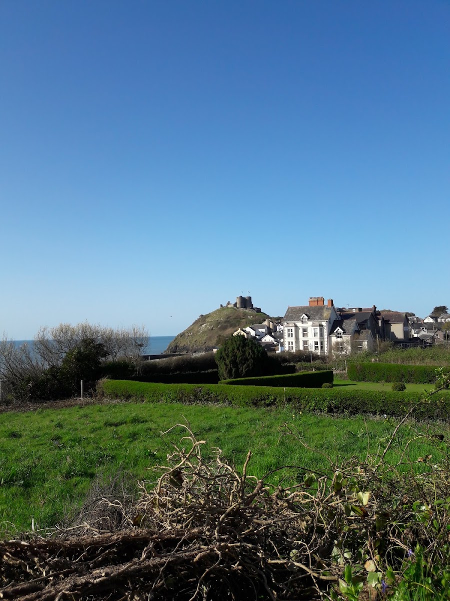 Plas Isa Hotel photo 3