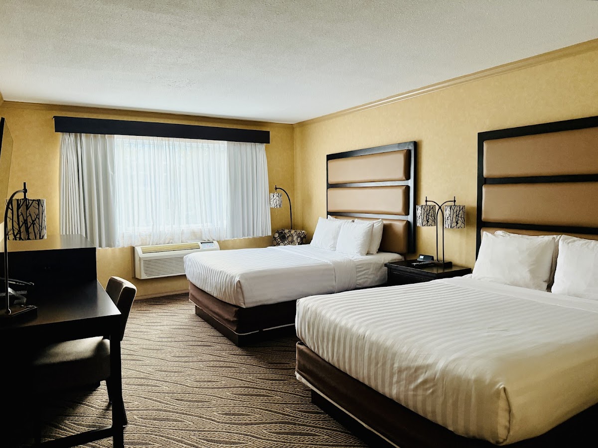 Prestige Inn Golden photo 2